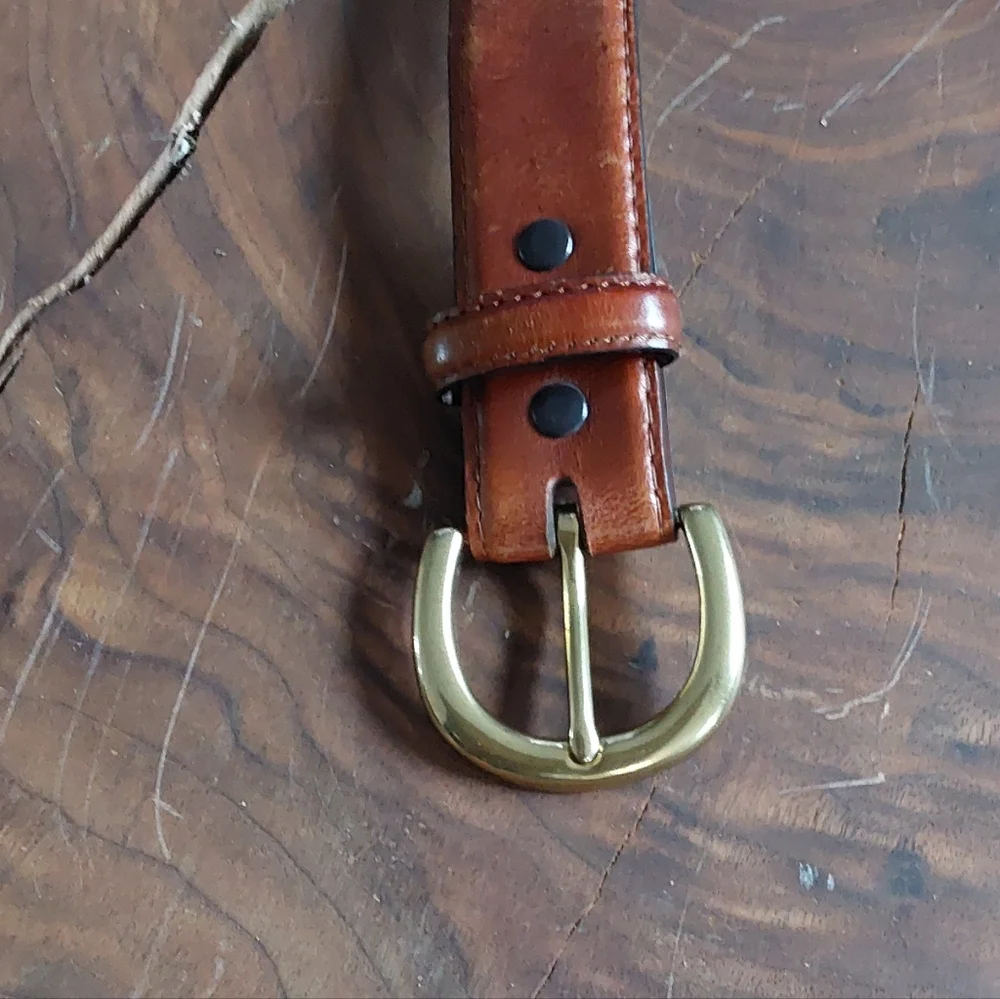 CABELLA'S STASH MONEY/TRAVEL BELT 40 - Picture 5 of 5